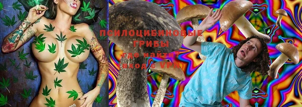 PSILOCYBIN Алзамай
