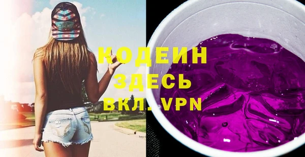 PSILOCYBIN Алзамай